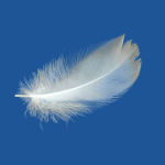 Praní péřových produktů