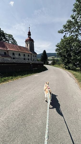 stezka-ceskem-vyherkyne-niki-grulichova