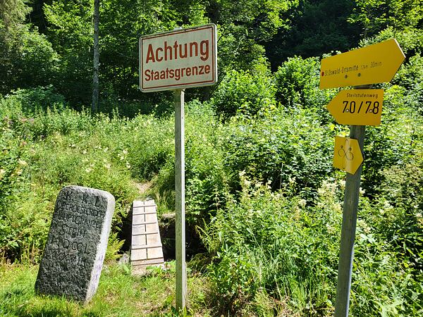 trailrunning-camp-sumava-lipensko-pasecna