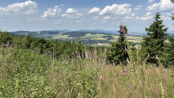 stezka-ceskem-vyherkyne-niki-grulichova