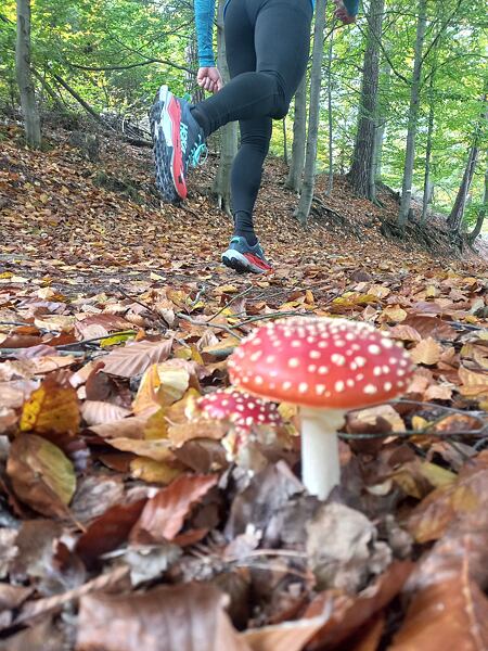 Pánské běžecké boty Hoka Torrent 4 - pohodlné boty, které drží za sucha i za mokra