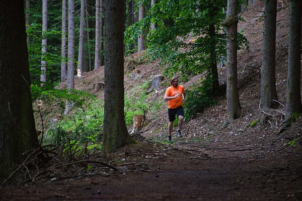 Pánské běžecké boty Dynafit Ultra Pro 2 - v lesním terénu