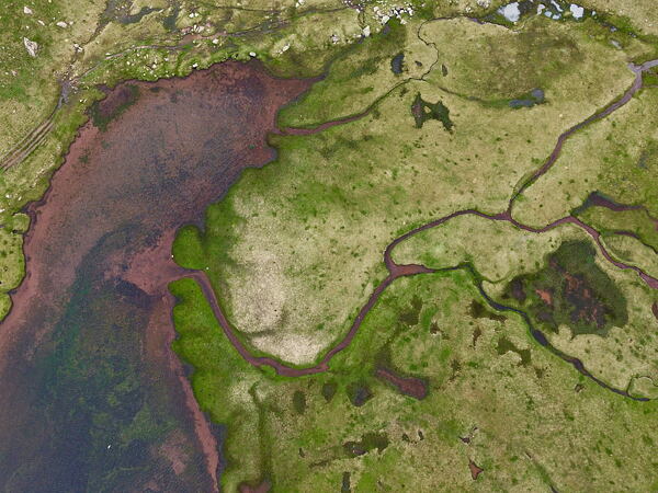 running-festival-tyden-hoka-ondrej-svirak