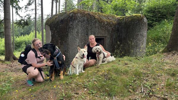 stezka-ceskem-vyherkyne-niki-grulichova